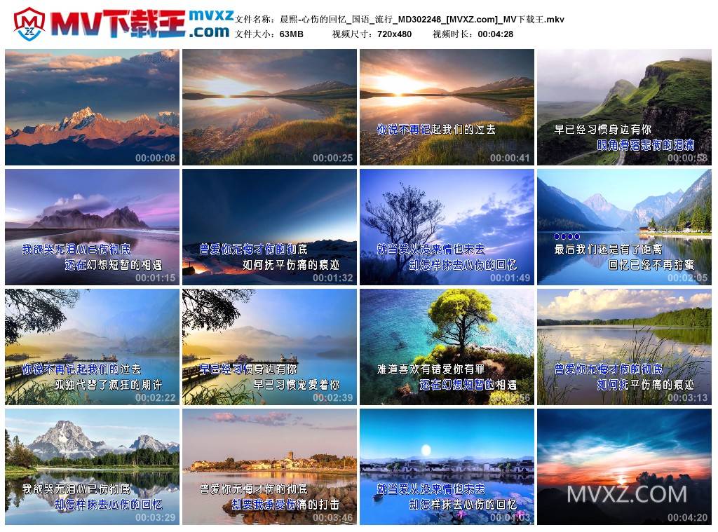 晨熙-心伤的回忆_国语_流行_MD302248